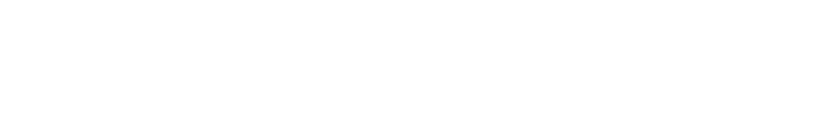 Srinet-Global-School-Logo-White